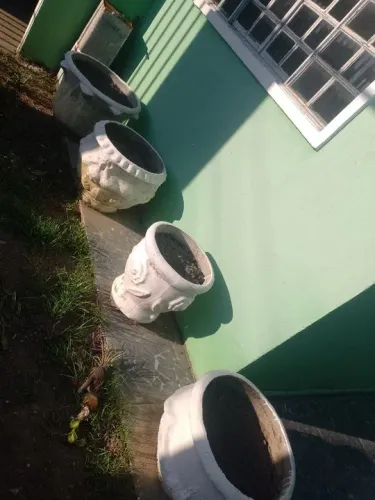 Vasos de cimento para plantas