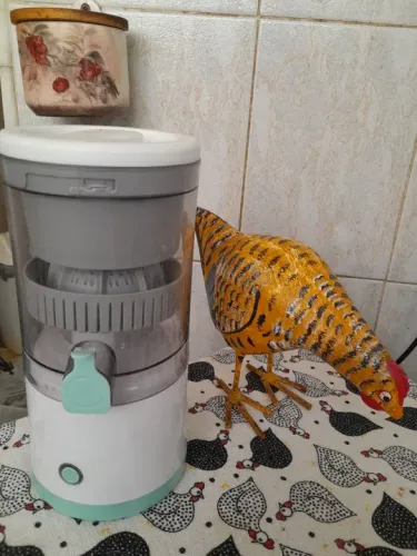 Espremedor de laranja ou limão