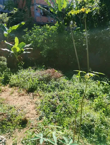 Terreno em Vida Nova Lauro de Freitas 