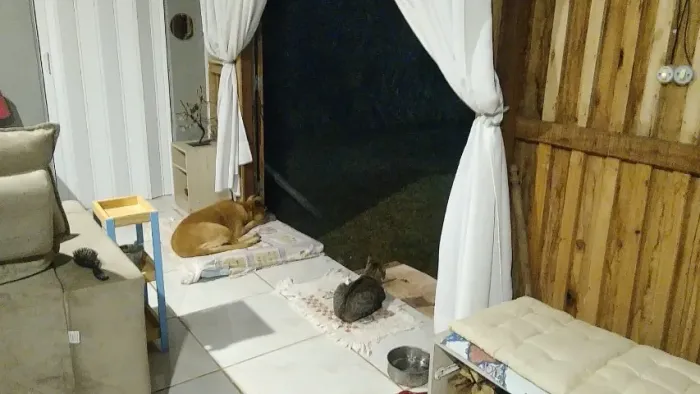 Sítio com 1,2 hectares 