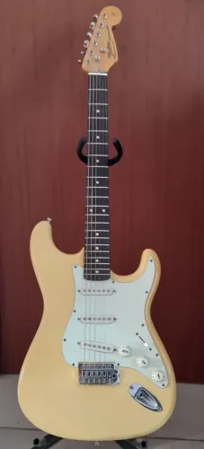 Guitarra Shelter Fst 62 stratocaster