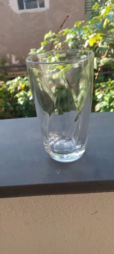 Copo de Vidro com Design Moderno