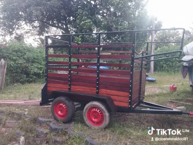 Vende-se carroça pra cavalo  2 eixo com placa 