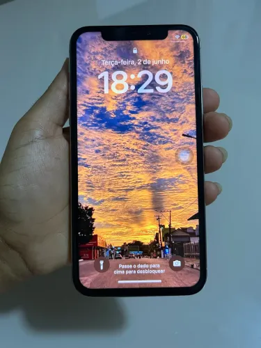 iPhone X