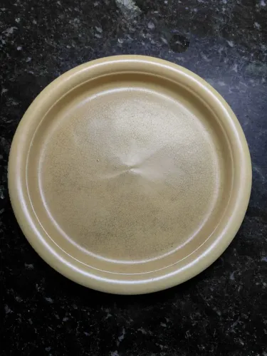 Jogo de pratos biodegradáveis de bagaço de cana