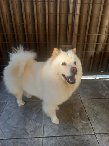Queiro namorada linfócitos igual ou parecido comigo sou linda novinha