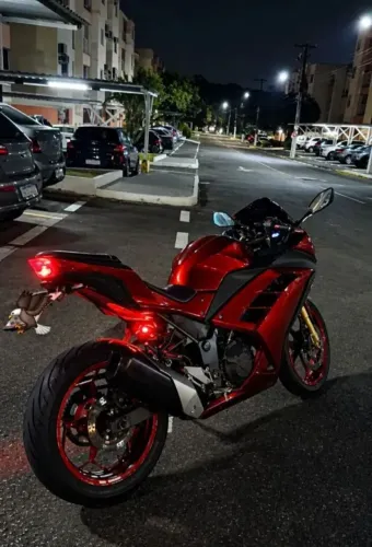 Kawasaki Ninja 300
