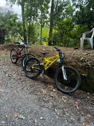 Bike de downhill