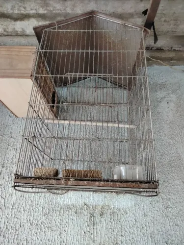 Vende viveiro,!!para desocupar espaco