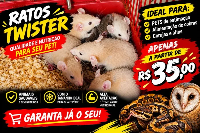 Ratos Twister venda Permanente