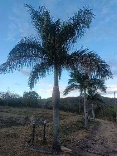 **OPORTUNIDADE** CHÁCARA COM NATUREZA, LOCALIZAÇÃO E VISTA ENCANTADORAS!