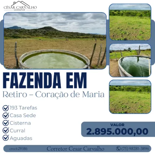 FAZENDA EM RETIRO DE CORAÇÃO DE MARIA - 193 TAREFAS