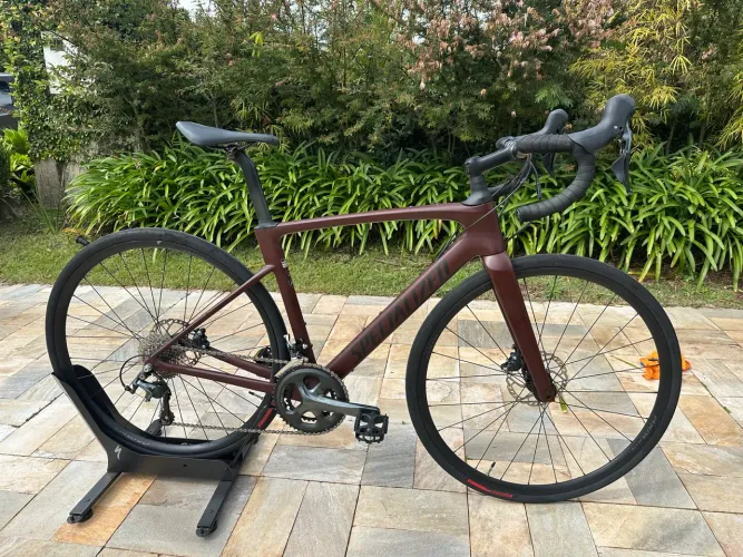 specialized roubaix