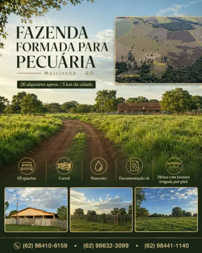 Fazenda para pecuária à venda em Matrinchã-GO | 26 alqueires | 5 km da cidade
