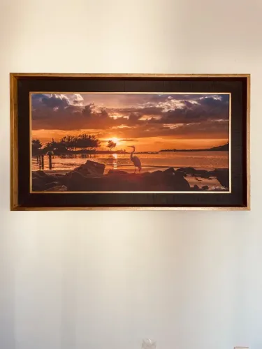 Quadros Laguna Ronaldo Amboni