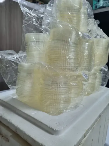 Vendo 09 pacotes de potinhos pra bolo no pote, pudins ou quidins, cada pote tem 50 unidas