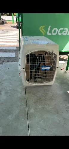Caixa de transporte para cachorro