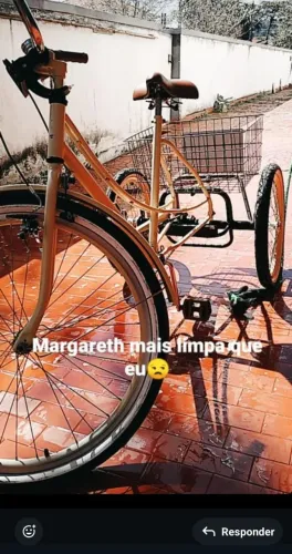 Bicicleta triciclo 