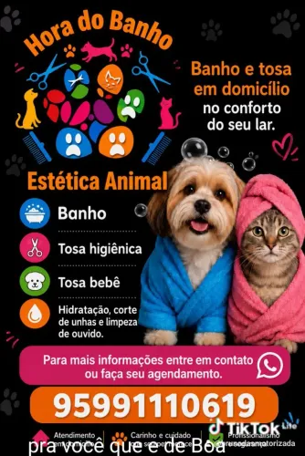 Banho e tosa em domicílio para o conforto do seu Pet