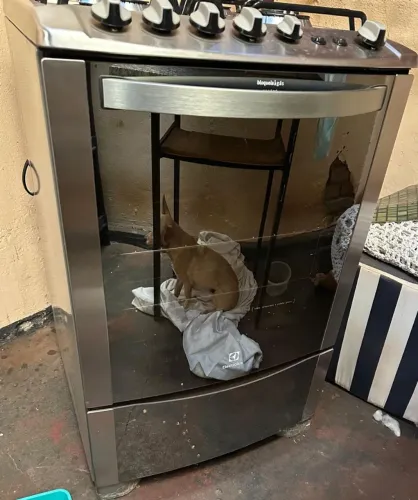 Fogao electrolux