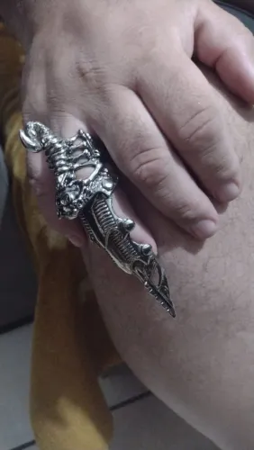 Lindo Anel articulado 