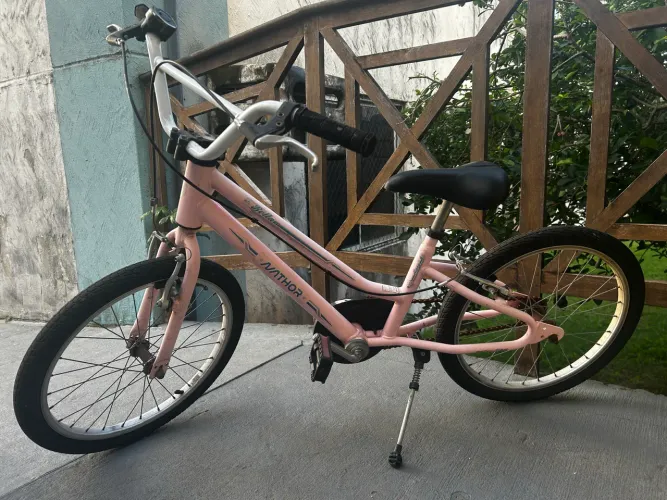 bicicleta aro 20