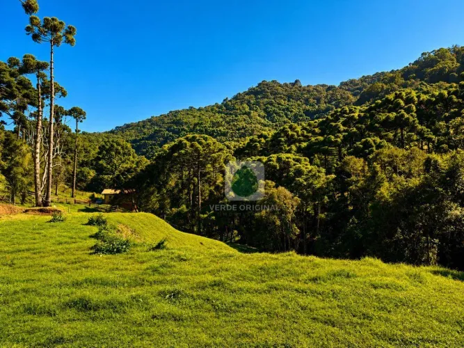Terreno documentado à venda, 2800 m² por R$ 370.000 - Campestre - Gonçalves/MG
