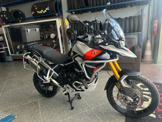 Tiger 900 rally pro 2024