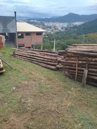 Escoras de eucalipto 