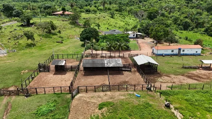 Fazenda de 240 alqueires