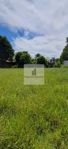 Lote / Terreno em Jardim das Palmeiras (Zona Sul) - São Paulo