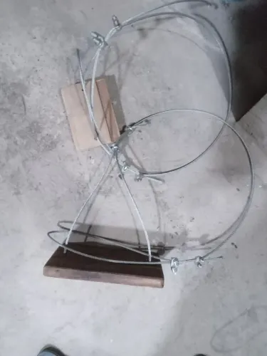Peia de subir em pé de coqueiros