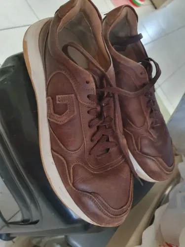 Tenis democrata