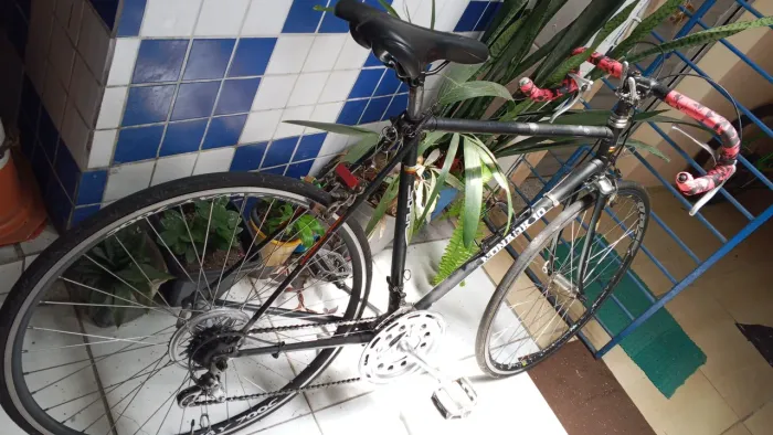 Monark speed 10