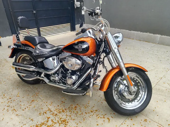Harley Davidson flstf