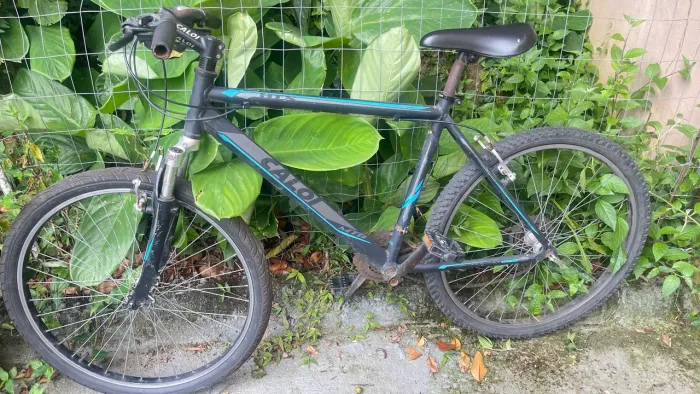 Bicicleta Aro 29