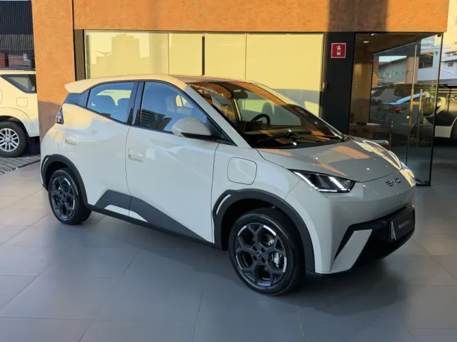 BYD Dolphin Mini (Elétrico) 2027