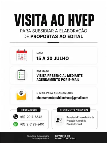 Adoção responsável cachorra castrada