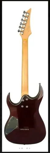 Guitarra Waldman WGAR220QX S