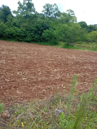 Vende terreno