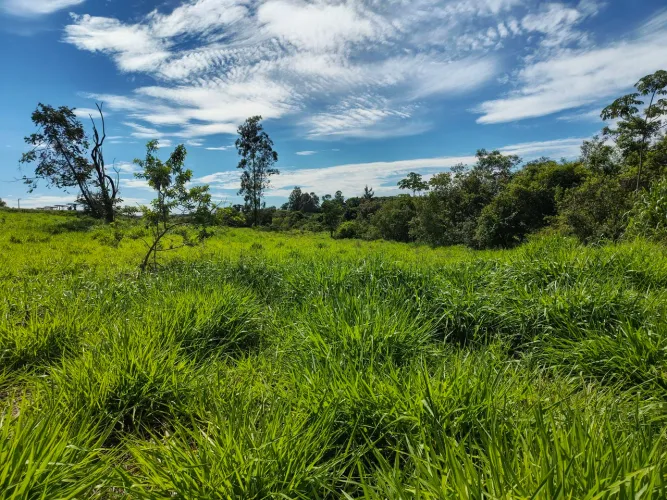 Beira de rio em Arealva