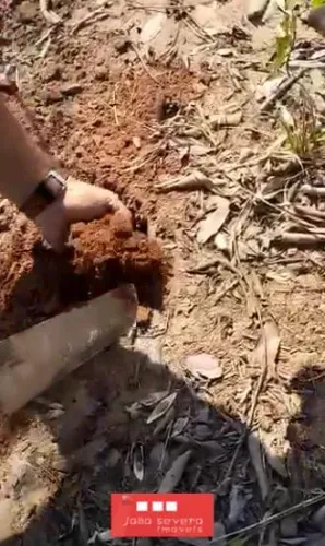 Fazenda para Venda em Gaúcha do Norte