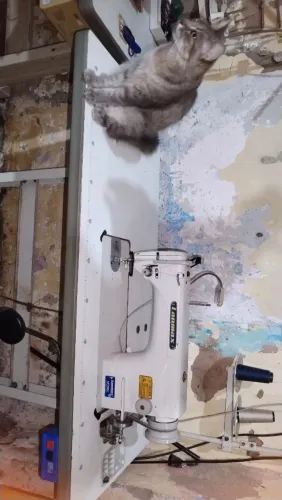 Vendo 2 máquina de custura overlok e uma reta. 