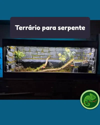 Terrário Beckground Personalizado Curitiba