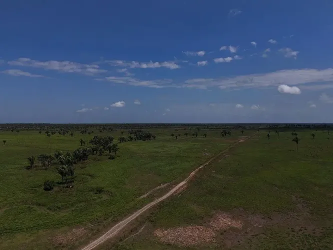 FAZENDA À VENDA   PRÓXIMA DE SANTA INÊS/MA - 830 HECTARES - OPORTUNIDADE