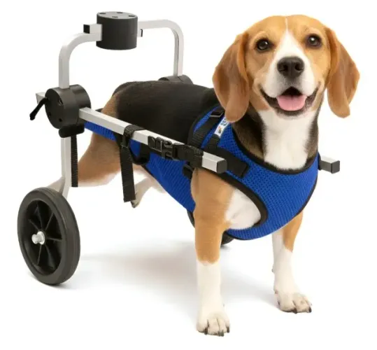 Cadeira de rodas para pet tamanho M