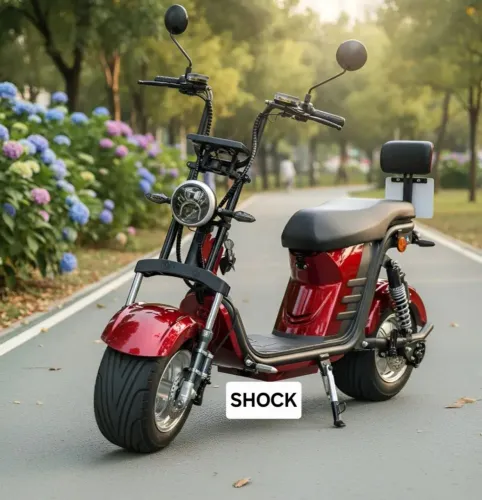 Bicicleta Moto Scooter Eletrica Small 1000.Nao precisa cnh