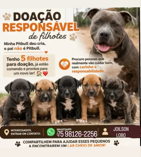 ANIMAIS PRA DOAÇÃO