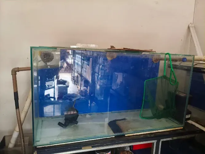 Aquário de 175lts + Sump com midias e Bomba de recalque