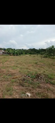 Terreno na BR sentido Humaitá-AM. Km 72. Na Vila do seu Amaury.